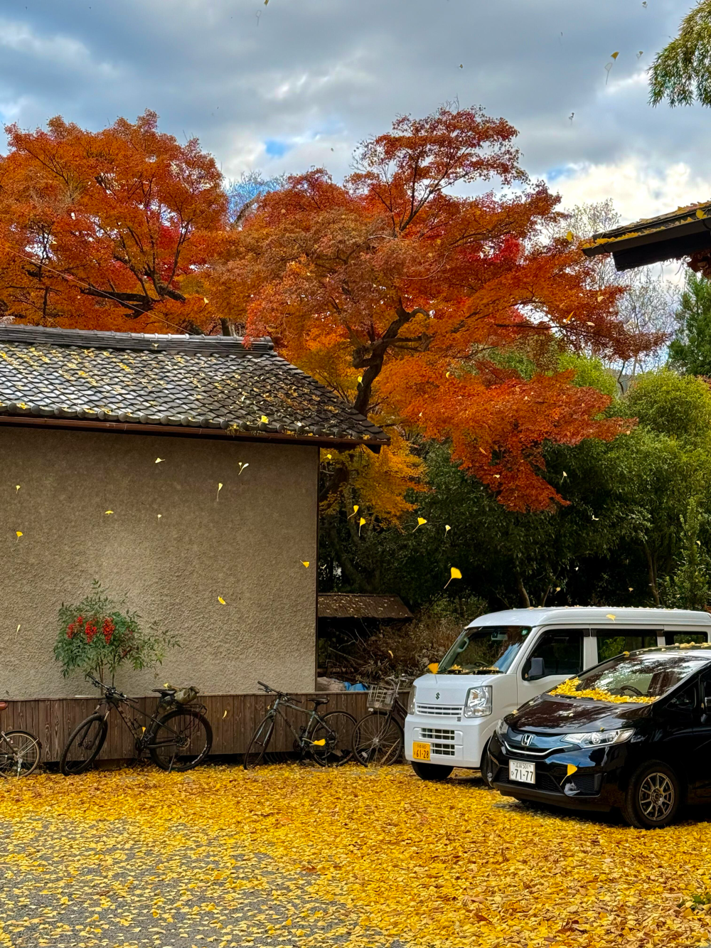 只有日本 京都的秋天