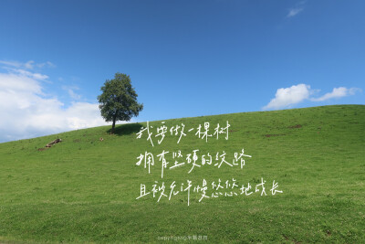 电脑壁纸/iPad壁纸