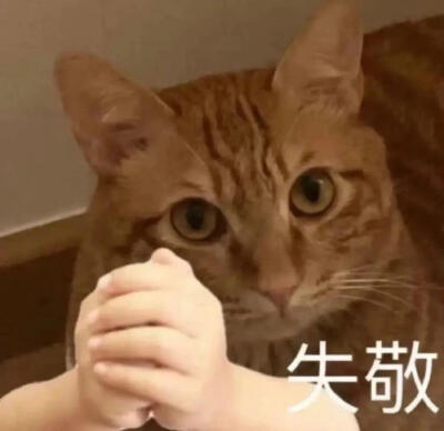 表情包·图源微博