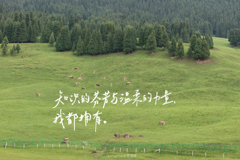 电脑壁纸/iPad壁纸