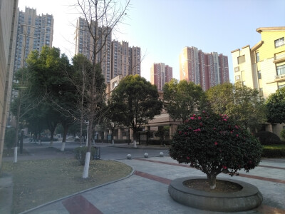 元旦
辞旧迎新日，万象更新时。
挥手告过去，拥抱迎未来。
往昔稚嫩儿，如今少年郎。
夕阳落于山，朝阳升于海。
执着逐梦想，努力成星辰。