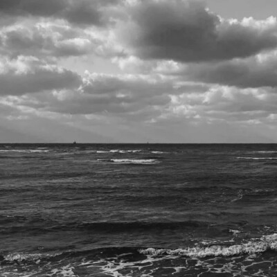 被江郁欧尼宠了喵喵喵