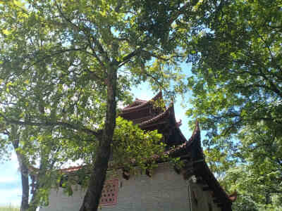 吉安风光欣赏：蓝天白云下的古青原台