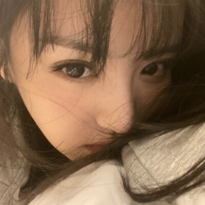 贴贴