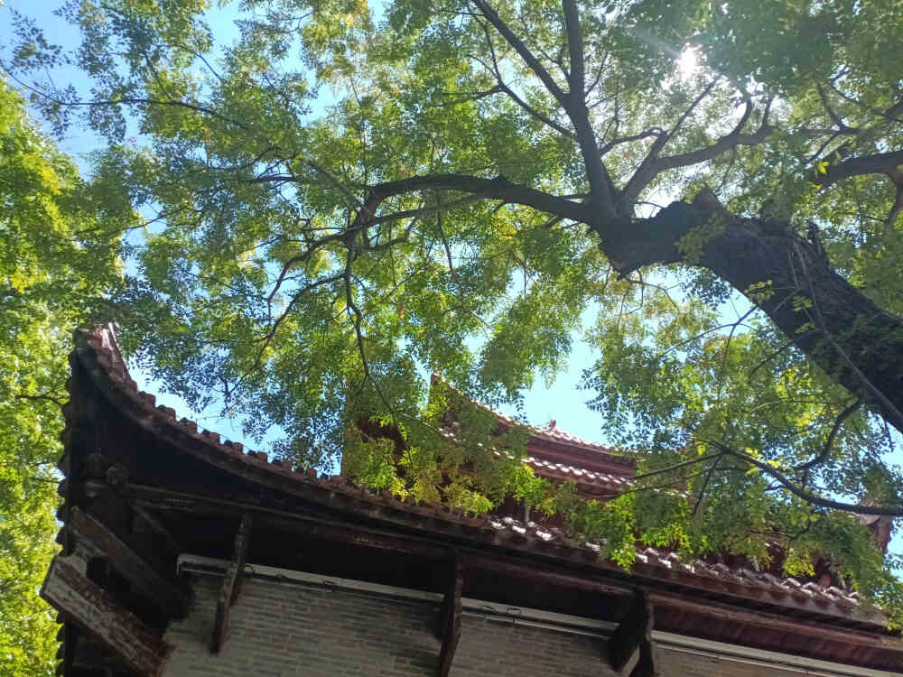 吉安风光欣赏：蓝天白云下的古青原台