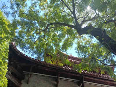 吉安风光欣赏：蓝天白云下的古青原台