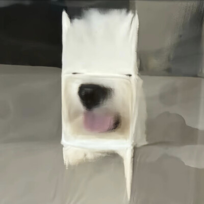 小狗狗