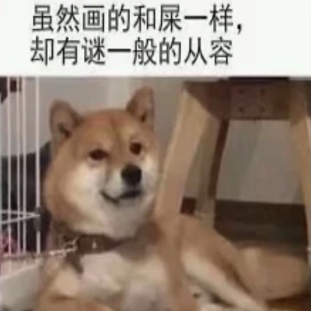 表情