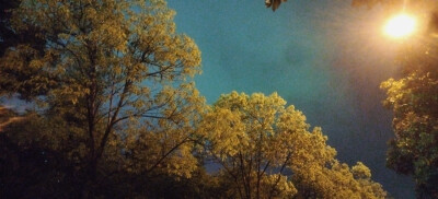 夜雨中湖边行
唉，6月23日早起又双叒叕要去市里上课，我的暑假几乎没有。抓住最后的时间，又去湖边望了一眼。云里泛着绿光，模糊也有模糊的美啊。雨其实很细，在灯光照下却如雪似银。我的同班同学瞿智涵独自走上去在…