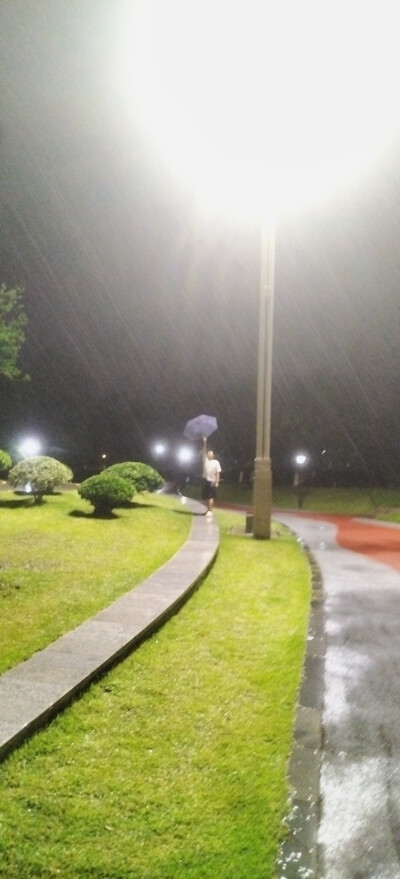 夜雨中湖边行
唉，6月23日早起又双叒叕要去市里上课，我的暑假几乎没有。抓住最后的时间，又去湖边望了一眼。云里泛着绿光，模糊也有模糊的美啊。雨其实很细，在灯光照下却如雪似银。我的同班同学瞿智涵独自走上去在…