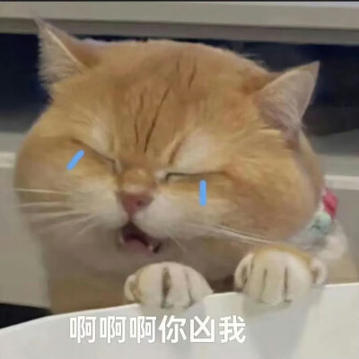 表情包
