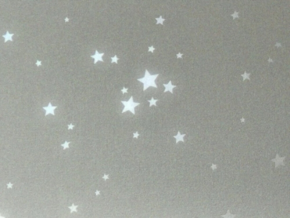 XIAOGOU