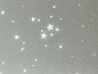 XIAOGOU