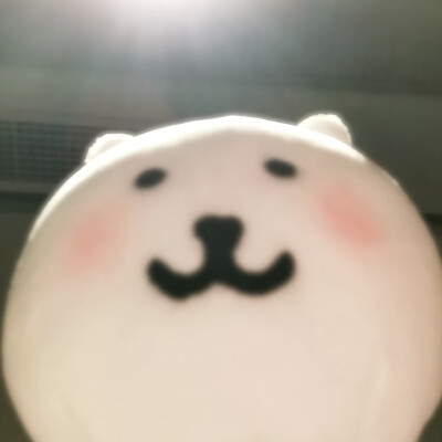 XIAOGOU