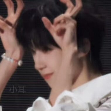 萌兔宝
