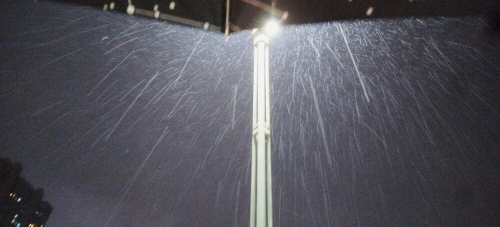 夜雨中湖边行
唉，6月23日早起又双叒叕要去市里上课，我的暑假几乎没有。抓住最后的时间，又去湖边望了一眼。云里泛着绿光，模糊也有模糊的美啊。雨其实很细，在灯光照下却如雪似银。我的同班同学瞿智涵独自走上去在大灯下观察雨光，被我拍到一张大气的人生照片。吹一点风，那雨下落轨迹的斜率便达到-2。