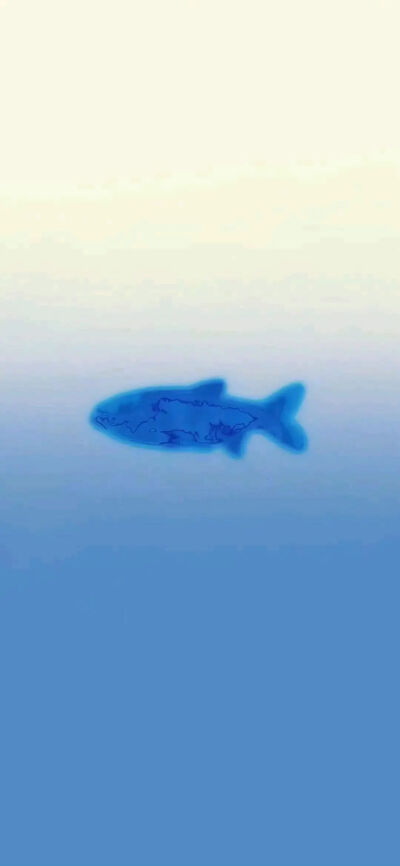 蓝
