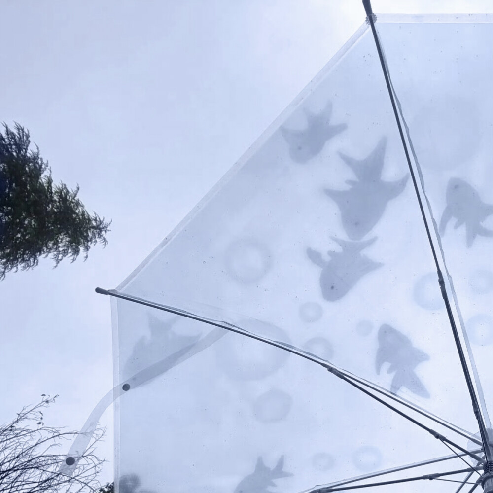 靠近你 就是晴天૮˃̵֊˂̵ა