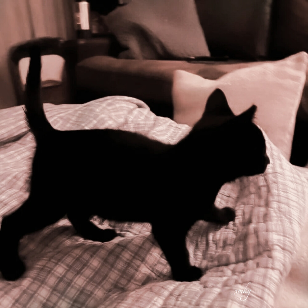 伦敦之下黄昏的礼颂，来自电影开头的序幕。