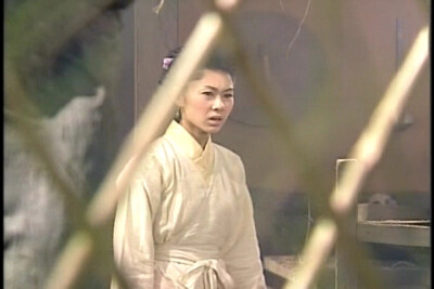 胡定欣 布衣神相 沈绛红