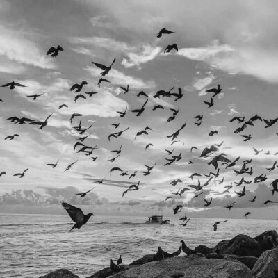 被江郁欧尼宠了喵喵喵