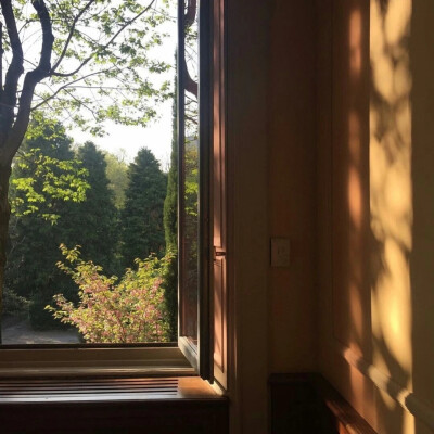 背景图