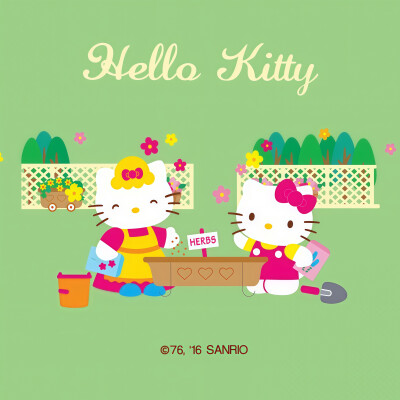 『kitty三丽鸥』头像▪壁纸