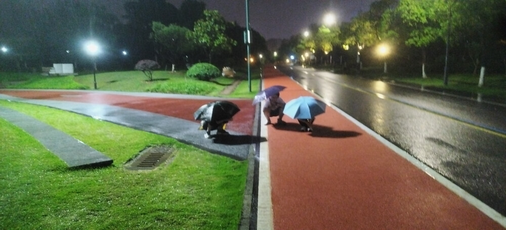 夜雨中湖边行
唉，6月23日早起又双叒叕要去市里上课，我的暑假几乎没有。抓住最后的时间，又去湖边望了一眼。云里泛着绿光，模糊也有模糊的美啊。雨其实很细，在灯光照下却如雪似银。我的同班同学瞿智涵独自走上去在大灯下观察雨光，被我拍到一张大气的人生照片。吹一点风，那雨下落轨迹的斜率便达到-2。