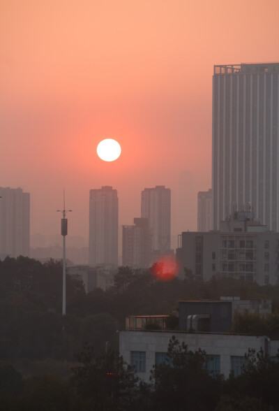 元旦
辞旧迎新日，万象更新时。
挥手告过去，拥抱迎未来。
往昔稚嫩儿，如今少年郎。
夕阳落于山，朝阳升于海。
执着逐梦想，努力成星辰。