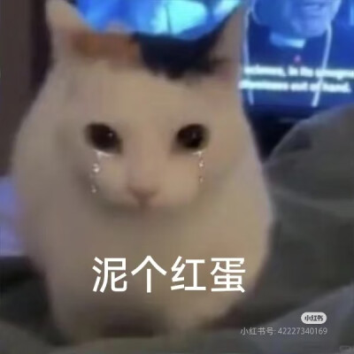 表情包