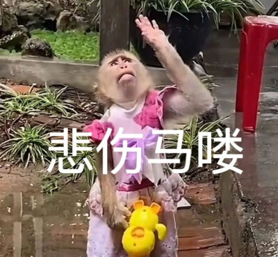 表情包