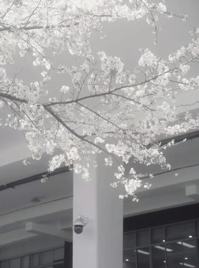  爱像是一场小雨 淅沥沥