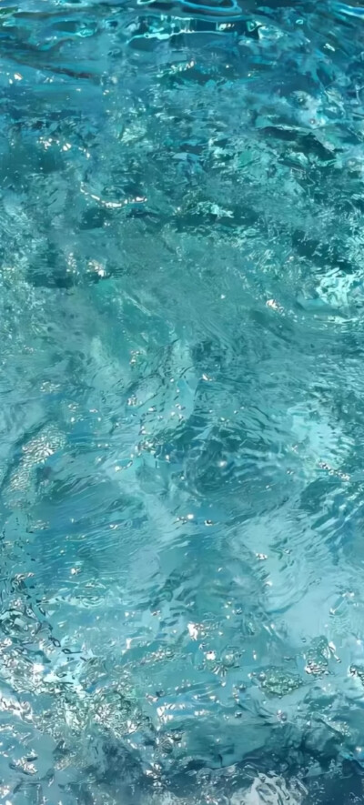 壁纸