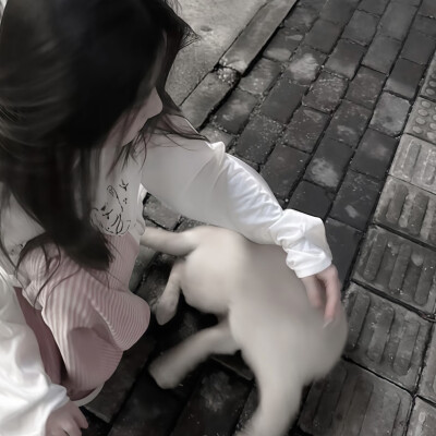 眼泪记得你