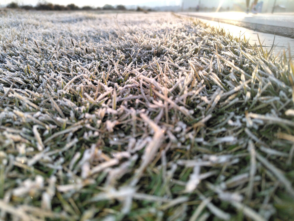 元旦
辞旧迎新日，万象更新时。
挥手告过去，拥抱迎未来。
往昔稚嫩儿，如今少年郎。
夕阳落于山，朝阳升于海。
执着逐梦想，努力成星辰。