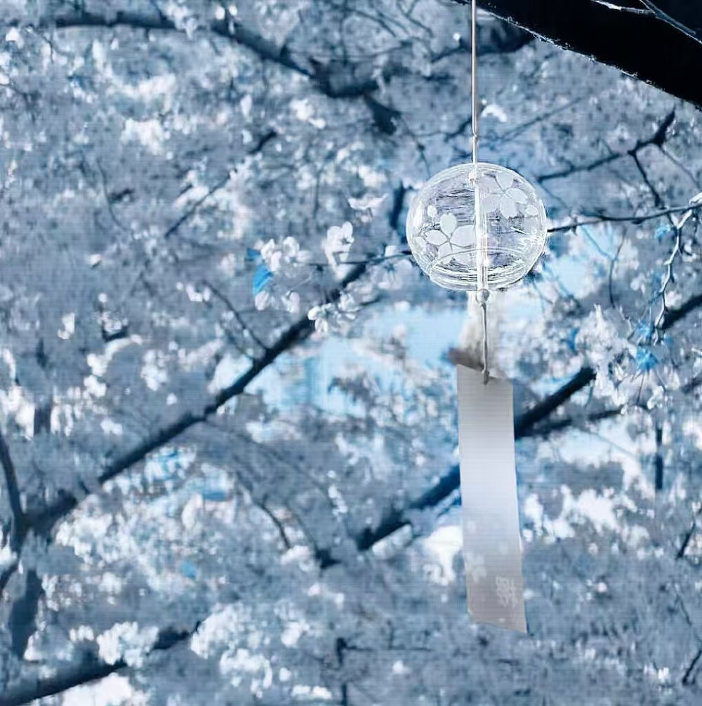 @踏实的农村人 赴暒亲亲送我的