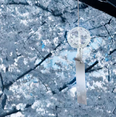 @踏实的农村人 赴暒亲亲送我的