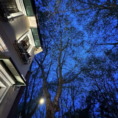 蓝色背景