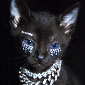 ʟsᴜɴɪᴄᴏʀɴ