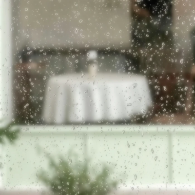 ๓鞠婧祎|生命之树°