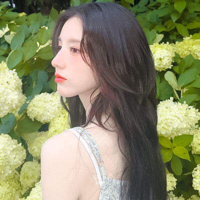 田姬振