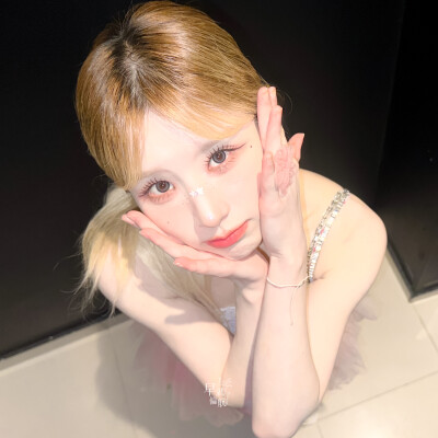 田姬振