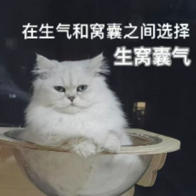 表情包