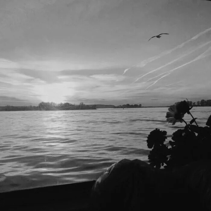 被江郁欧尼宠了喵喵喵