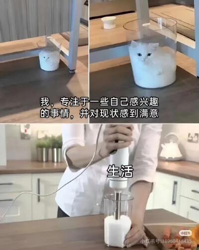 我是不会放弃收集这种图片的