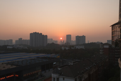 元旦
辞旧迎新日，万象更新时。
挥手告过去，拥抱迎未来。
往昔稚嫩儿，如今少年郎。
夕阳落于山，朝阳升于海。
执着逐梦想，努力成星辰。