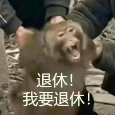 表情包