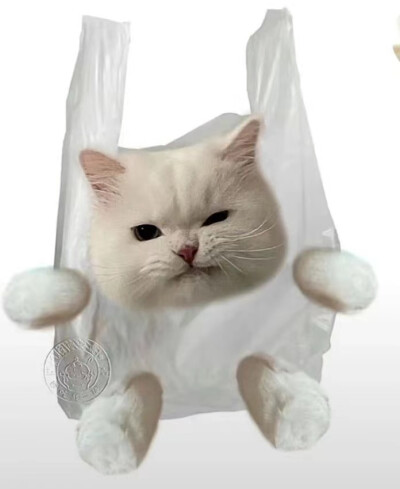 头像｜可爱头像 搞怪 萌宠 小猫小狗 白底头像 手绘可爱