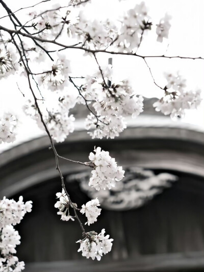  爱像是一场小雨 淅沥沥