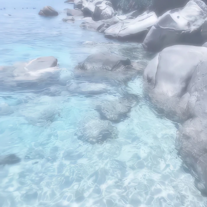  感谢伪赤潮送来的图˵•ᴗ•˵